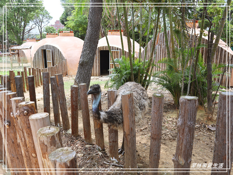 新竹市立動物園-小而美!打造無鐵籠棲地空間 - 潔絲蜜愛生活