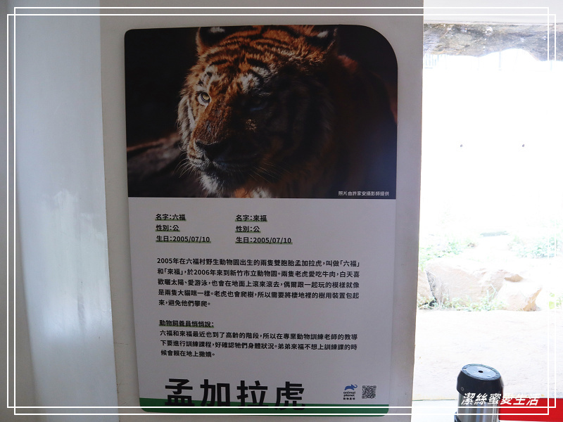 新竹市立動物園-小而美!打造無鐵籠棲地空間 - 潔絲蜜愛生活