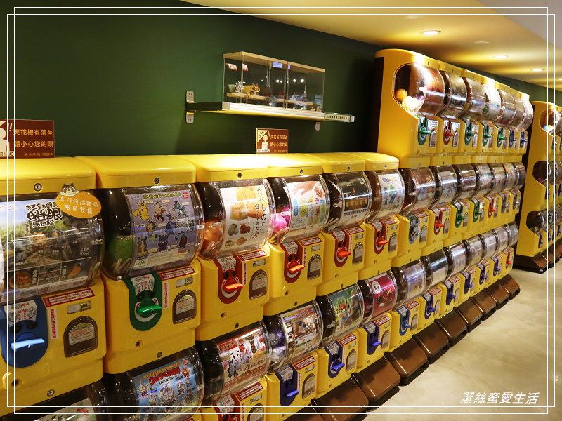 新竹市立動物園-小而美!打造無鐵籠棲地空間 - 潔絲蜜愛生活