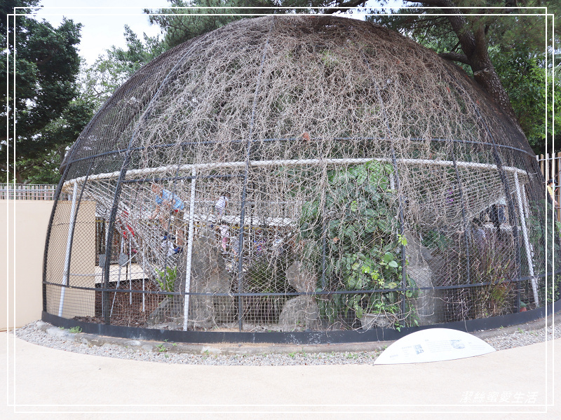 新竹市立動物園-小而美!打造無鐵籠棲地空間 - 潔絲蜜愛生活