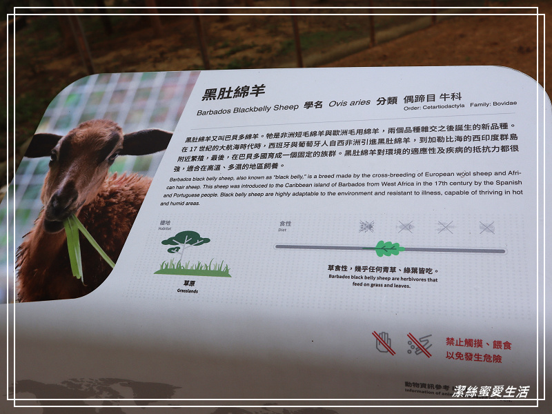 新竹市立動物園-小而美!打造無鐵籠棲地空間 - 潔絲蜜愛生活