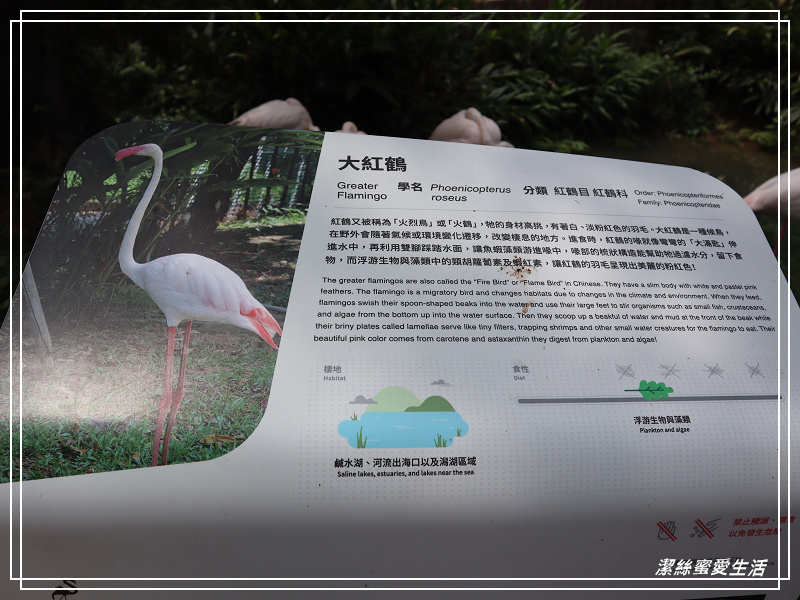 新竹市立動物園-小而美!打造無鐵籠棲地空間 - 潔絲蜜愛生活