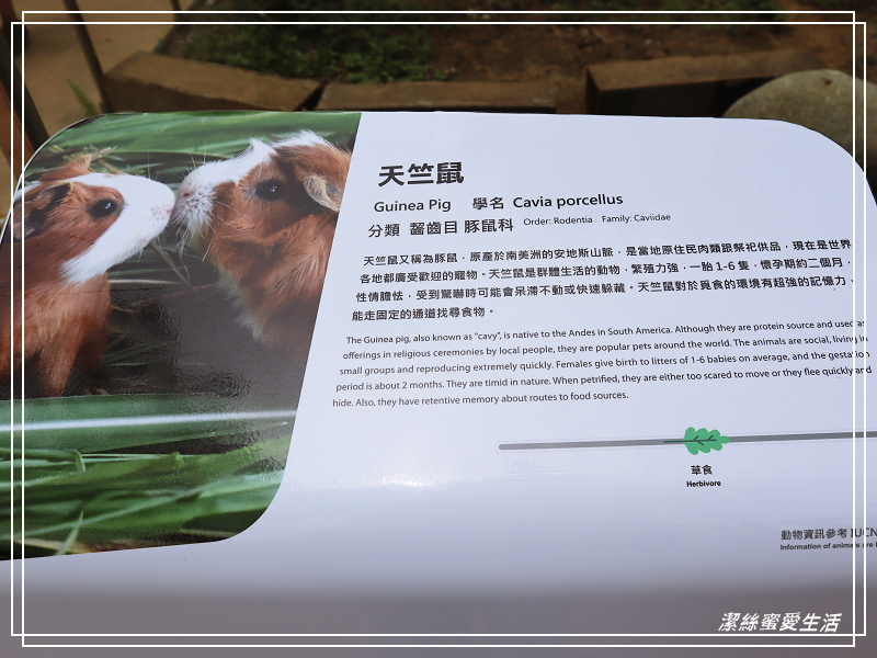 新竹市立動物園-小而美!打造無鐵籠棲地空間 - 潔絲蜜愛生活