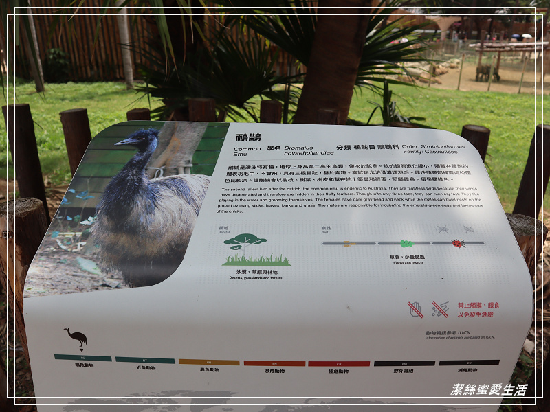 新竹市立動物園-小而美!打造無鐵籠棲地空間 - 潔絲蜜愛生活