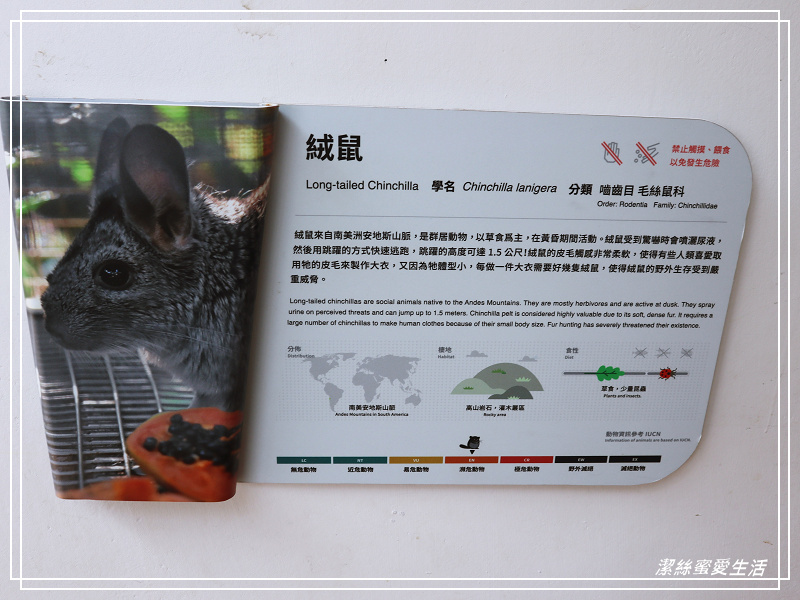 新竹市立動物園-小而美!打造無鐵籠棲地空間 - 潔絲蜜愛生活