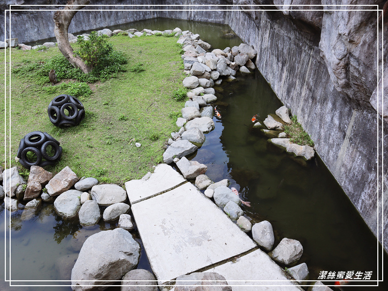新竹市立動物園-小而美!打造無鐵籠棲地空間 - 潔絲蜜愛生活