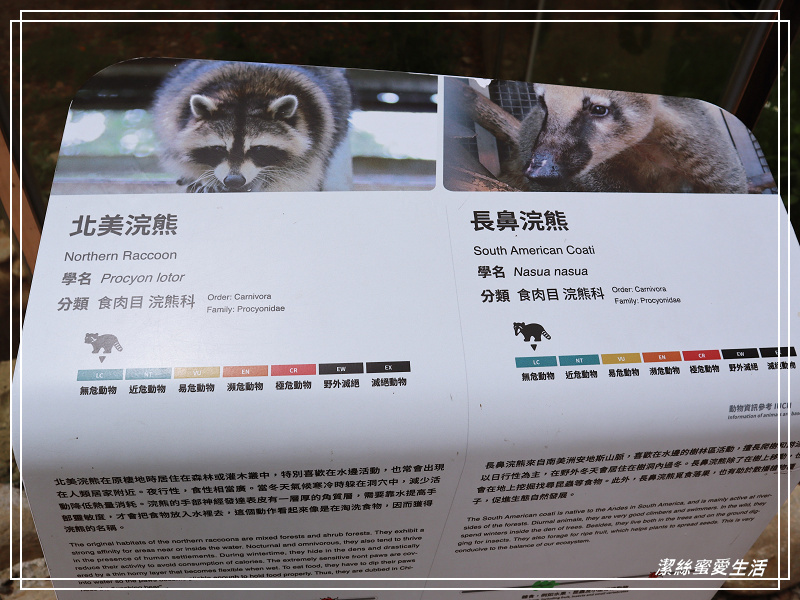 新竹市立動物園-小而美!打造無鐵籠棲地空間 - 潔絲蜜愛生活
