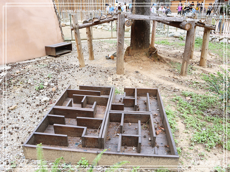 新竹市立動物園-小而美!打造無鐵籠棲地空間 - 潔絲蜜愛生活