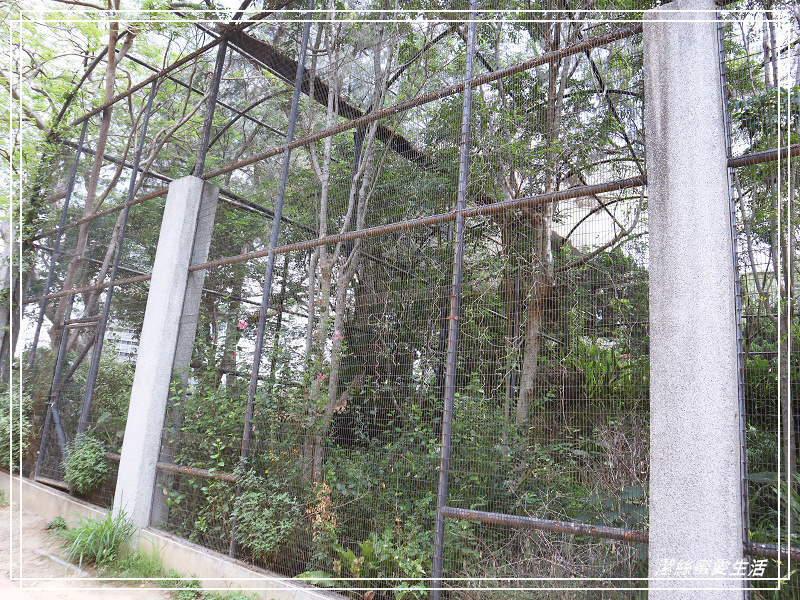 新竹市立動物園-小而美!打造無鐵籠棲地空間 - 潔絲蜜愛生活