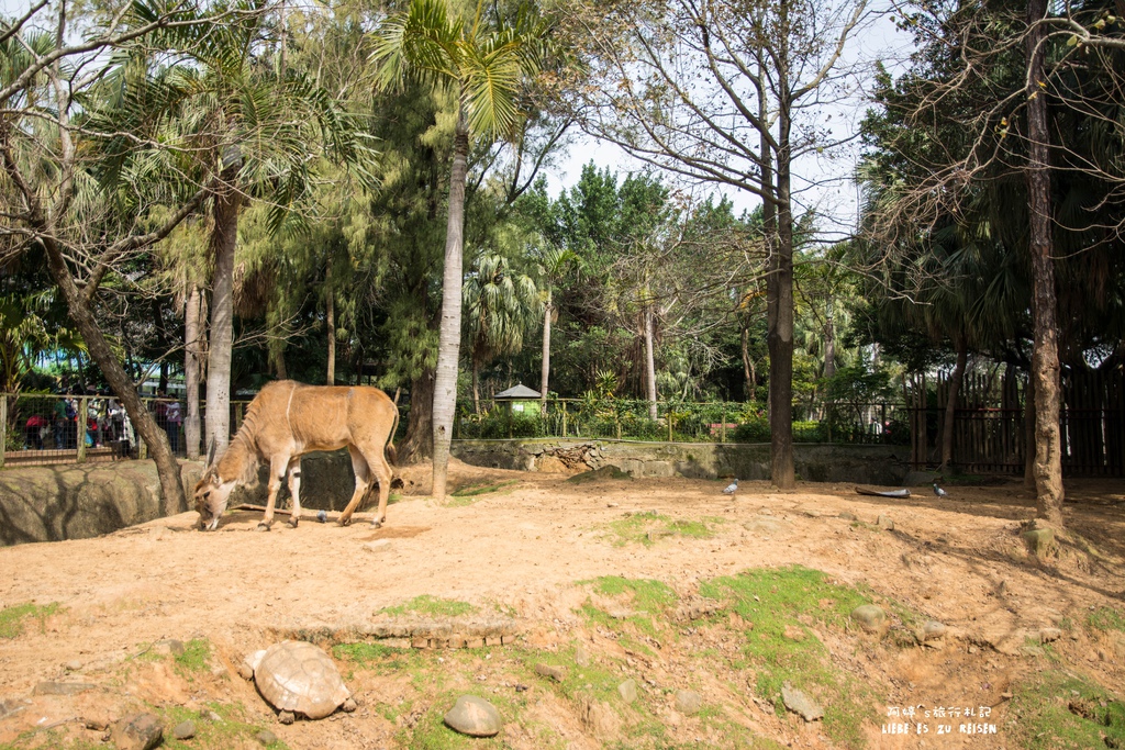 DSC_8406.jpg DSC_8406.jpg