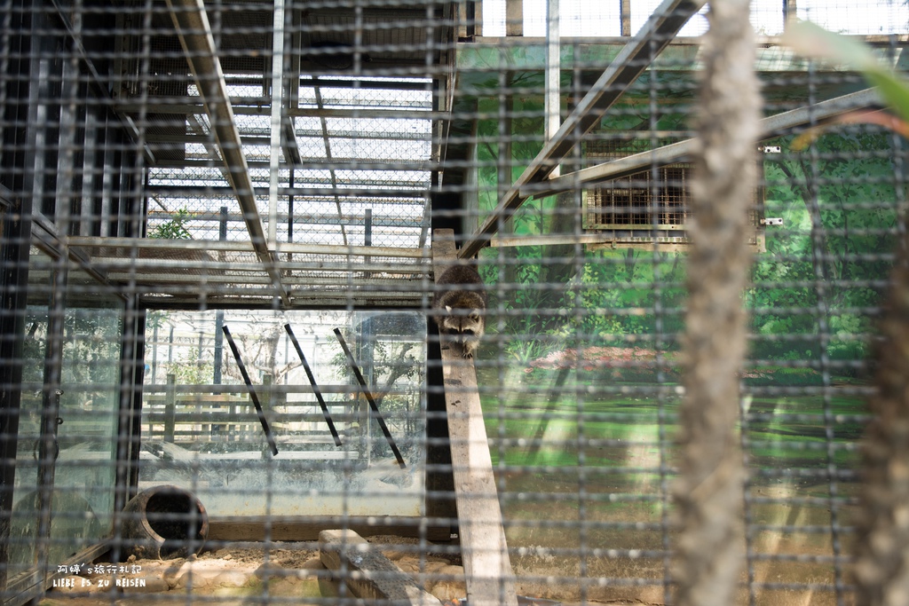 DSC_8420.jpg DSC_8420.jpg