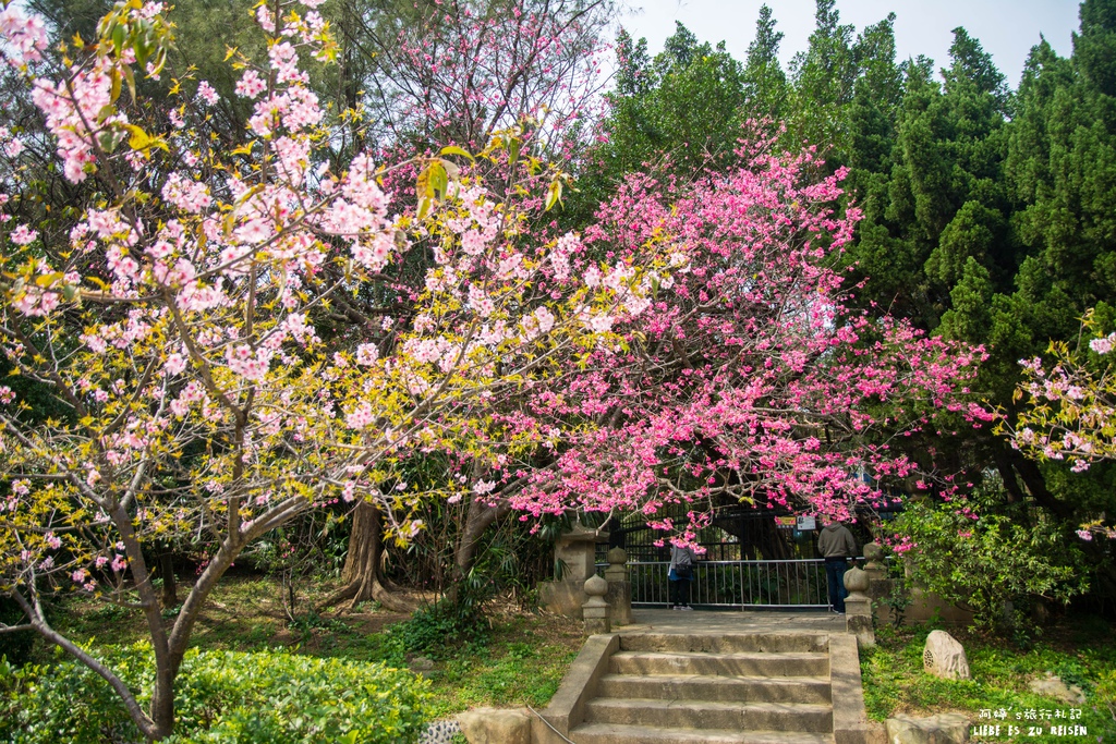 DSC_8468.jpg DSC_8468.jpg