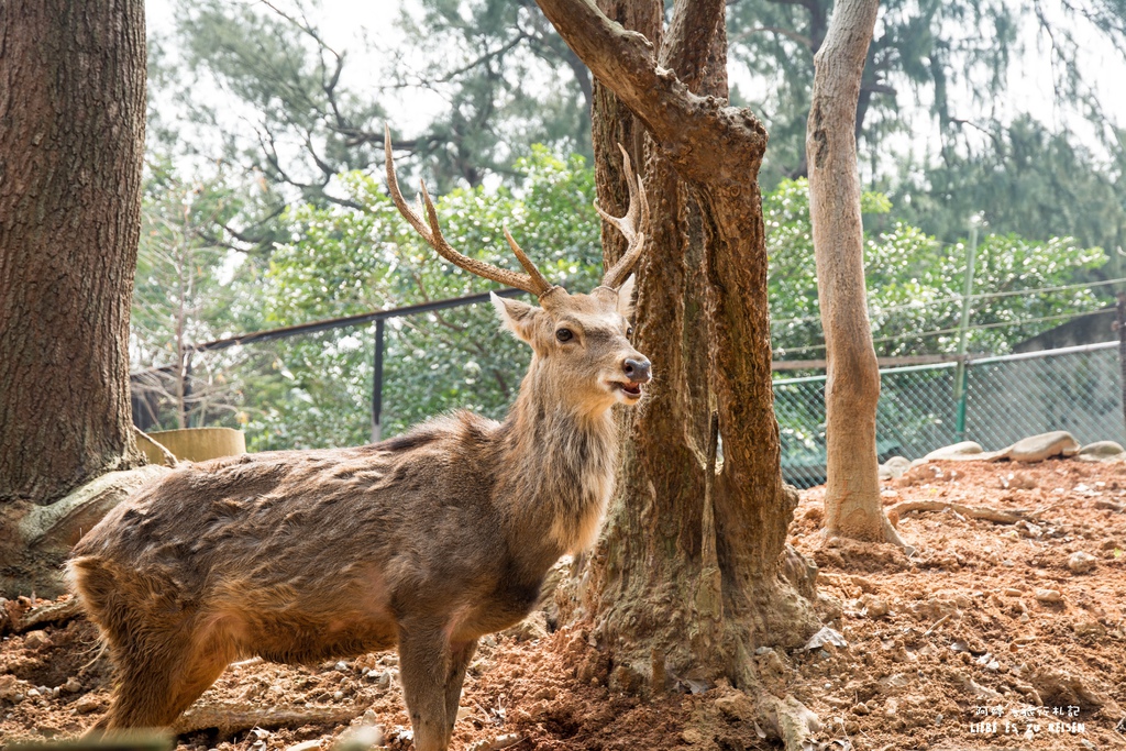 DSC_8457.jpg DSC_8457.jpg