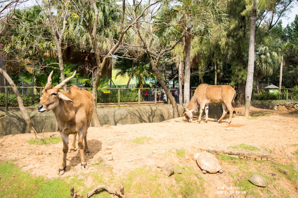 DSC_8405.jpg DSC_8405.jpg