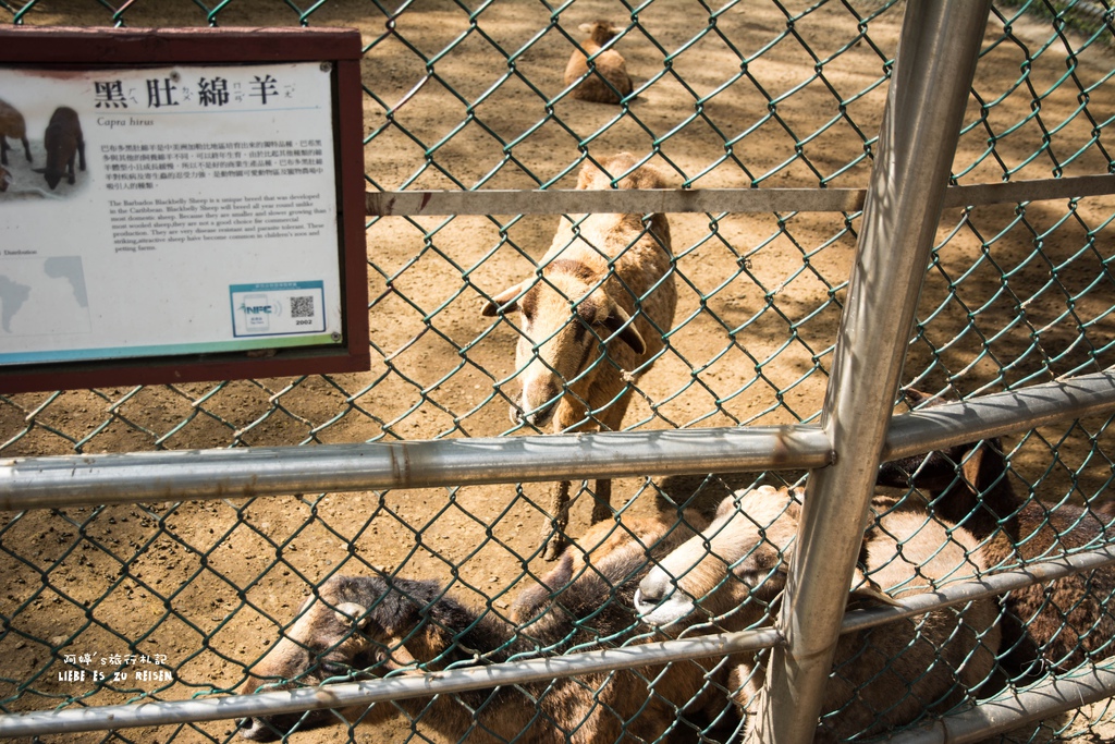 DSC_8411.jpg DSC_8411.jpg