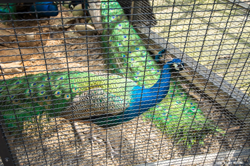 DSC_8429.jpg DSC_8429.jpg