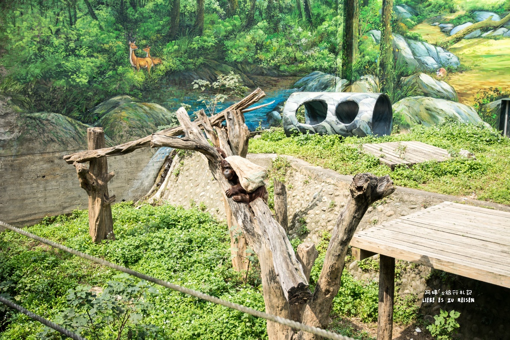 DSC_8451.jpg DSC_8451.jpg