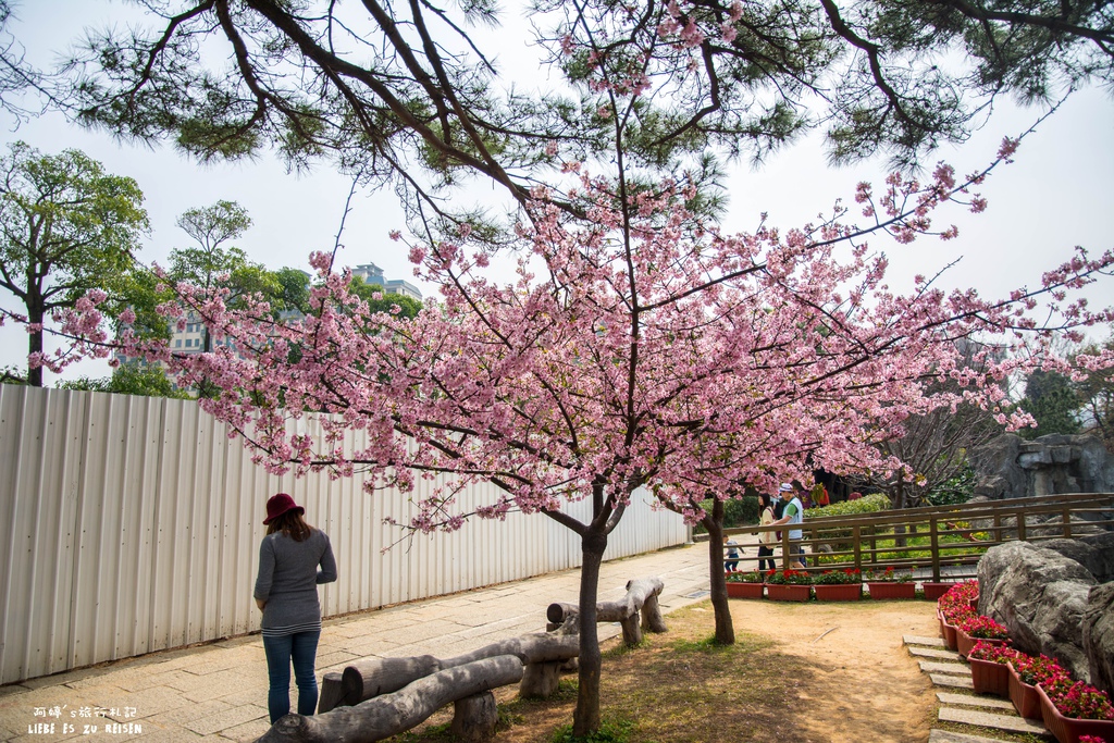 DSC_8482.jpg DSC_8482.jpg