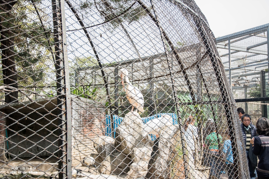 DSC_8428.jpg DSC_8428.jpg