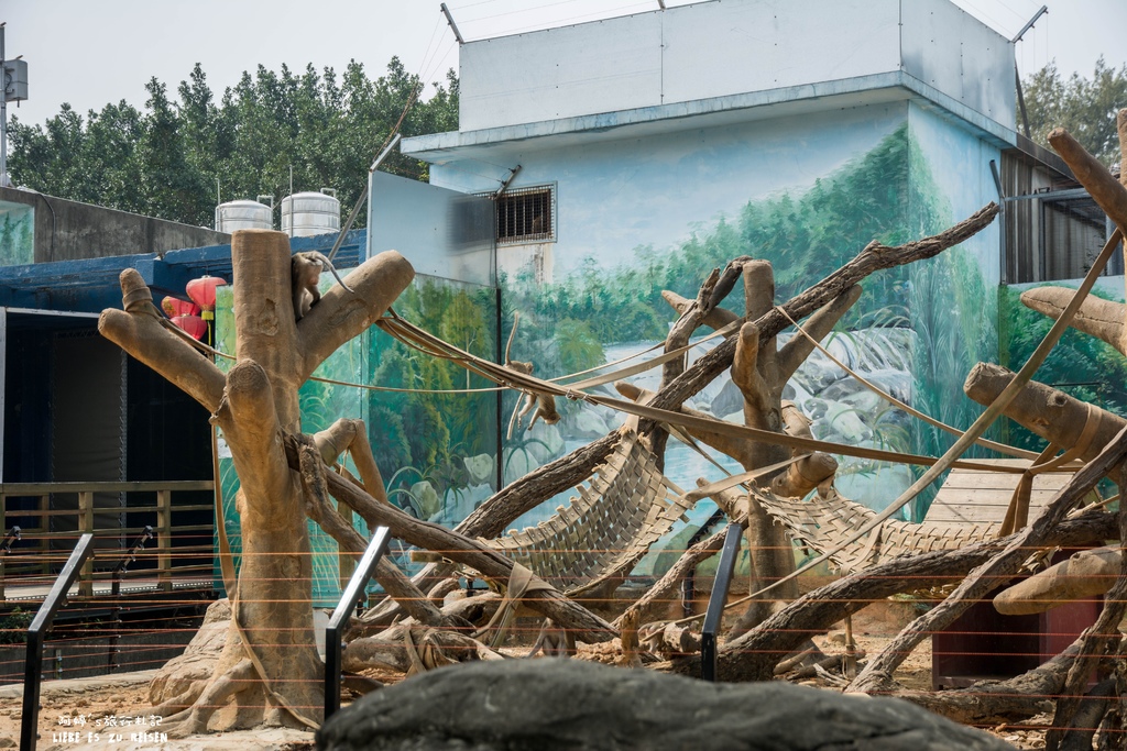 DSC_8485.jpg DSC_8485.jpg