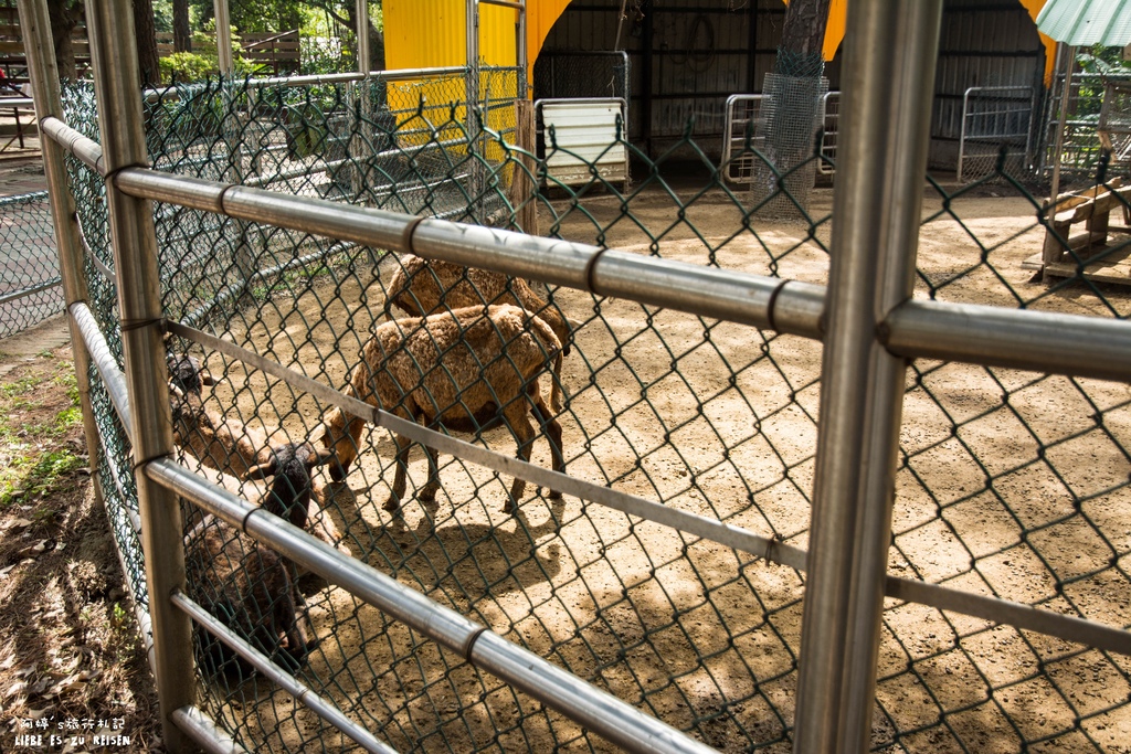 DSC_8408.jpg DSC_8408.jpg