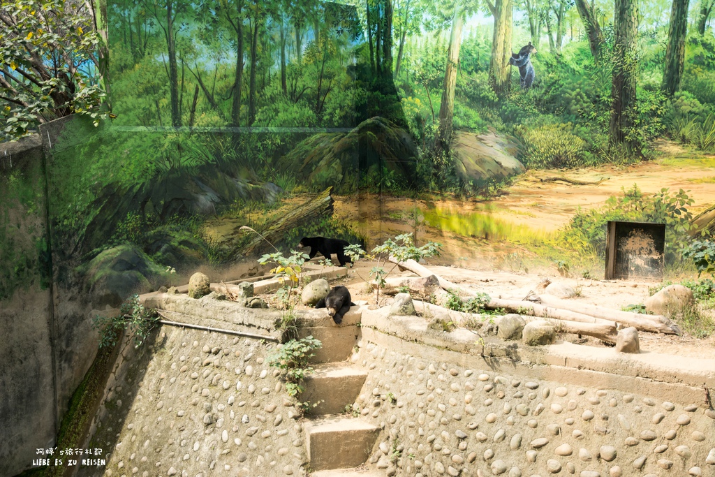 DSC_8446.jpg DSC_8446.jpg