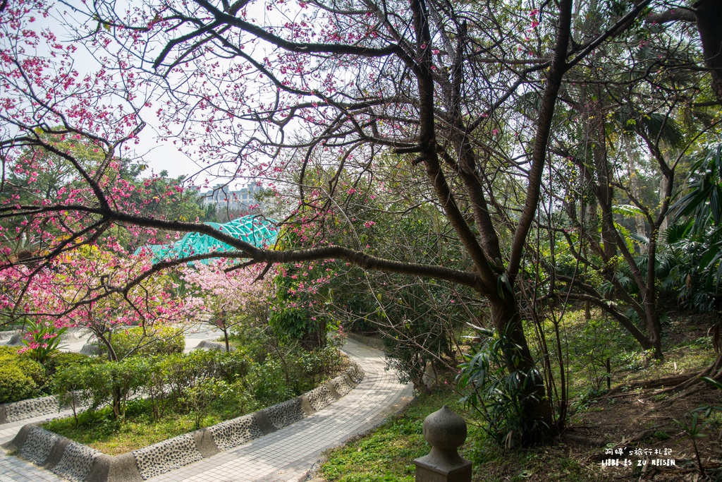 DSC_8466.jpg DSC_8466.jpg