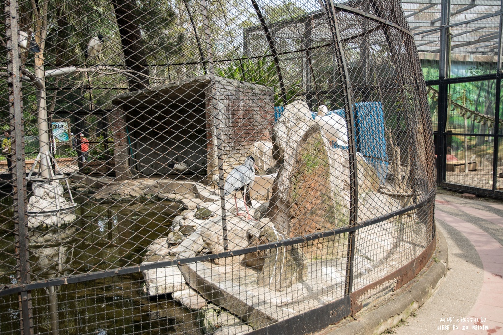 DSC_8442.jpg DSC_8442.jpg