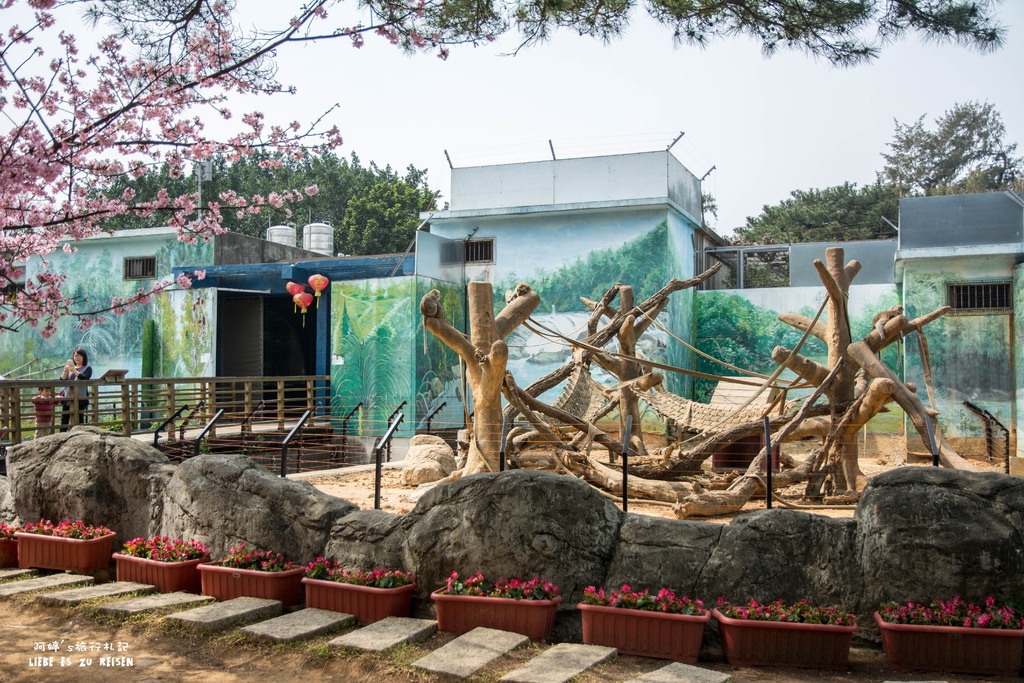 DSC_8481.jpg DSC_8481.jpg