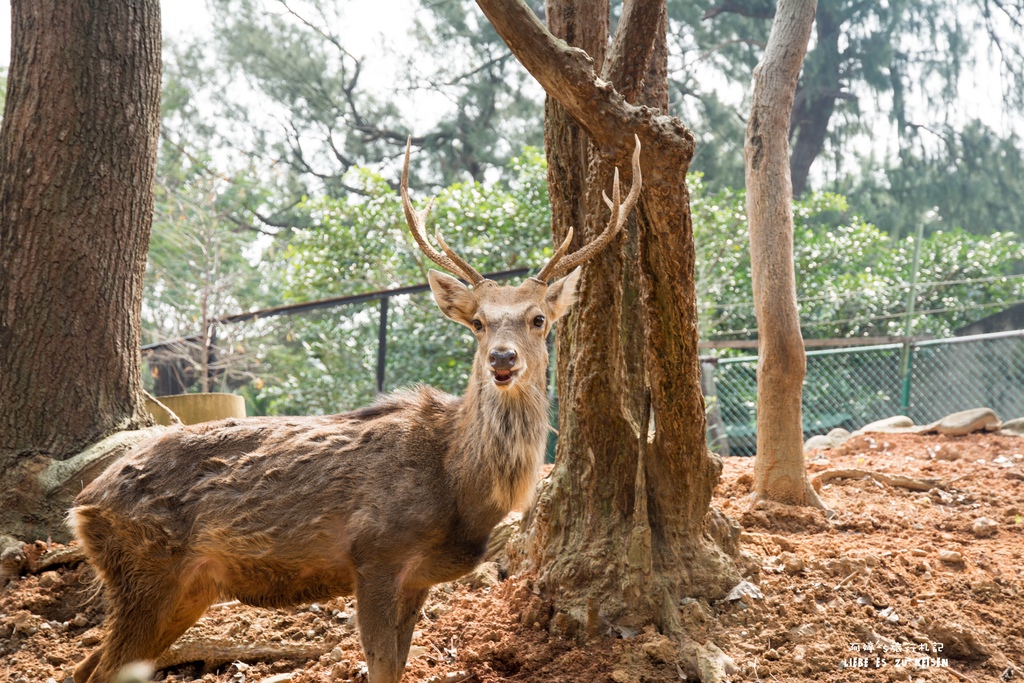 DSC_8458.jpg DSC_8458.jpg