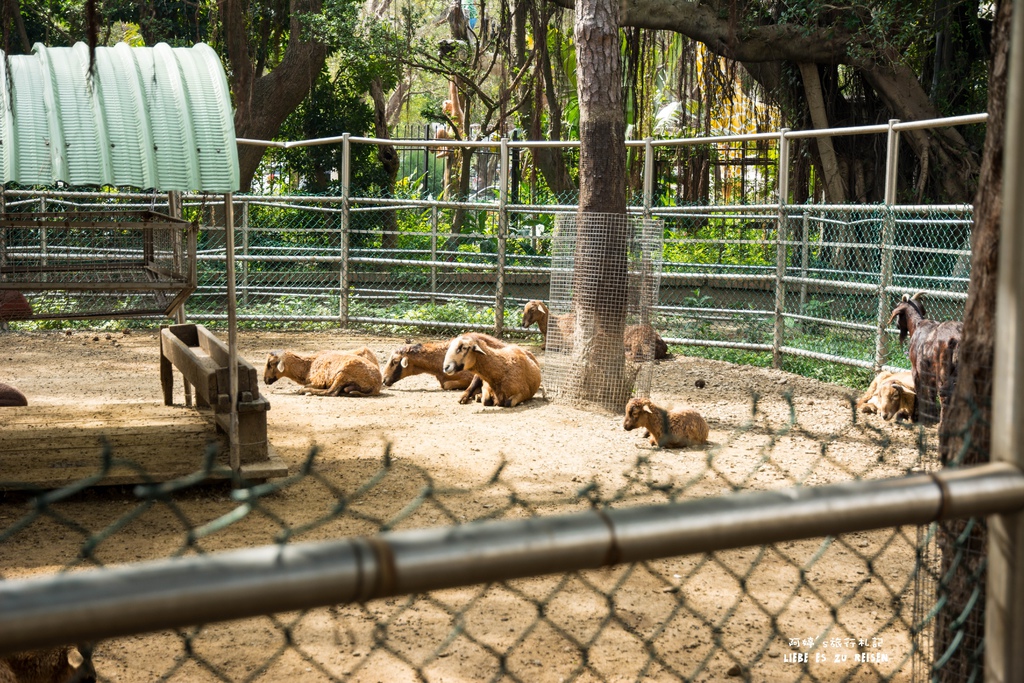 DSC_8409.jpg DSC_8409.jpg