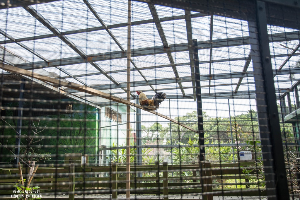 DSC_8423.jpg DSC_8423.jpg