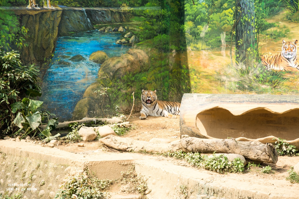 DSC_8447.jpg DSC_8447.jpg