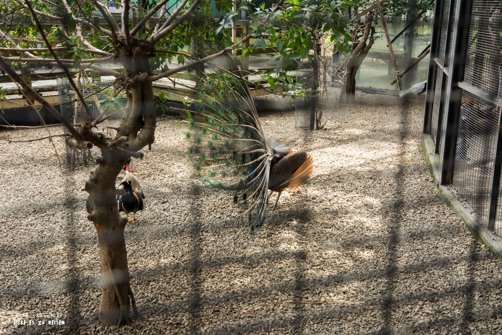 DSC_8432.jpg DSC_8432.jpg