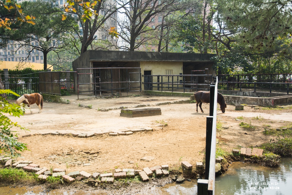 DSC_8417.jpg DSC_8417.jpg