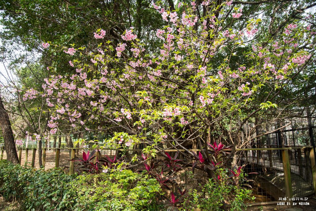 DSC_8421.jpg DSC_8421.jpg