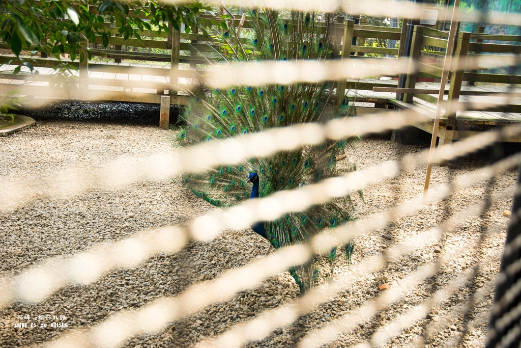 DSC_8438.jpg DSC_8438.jpg