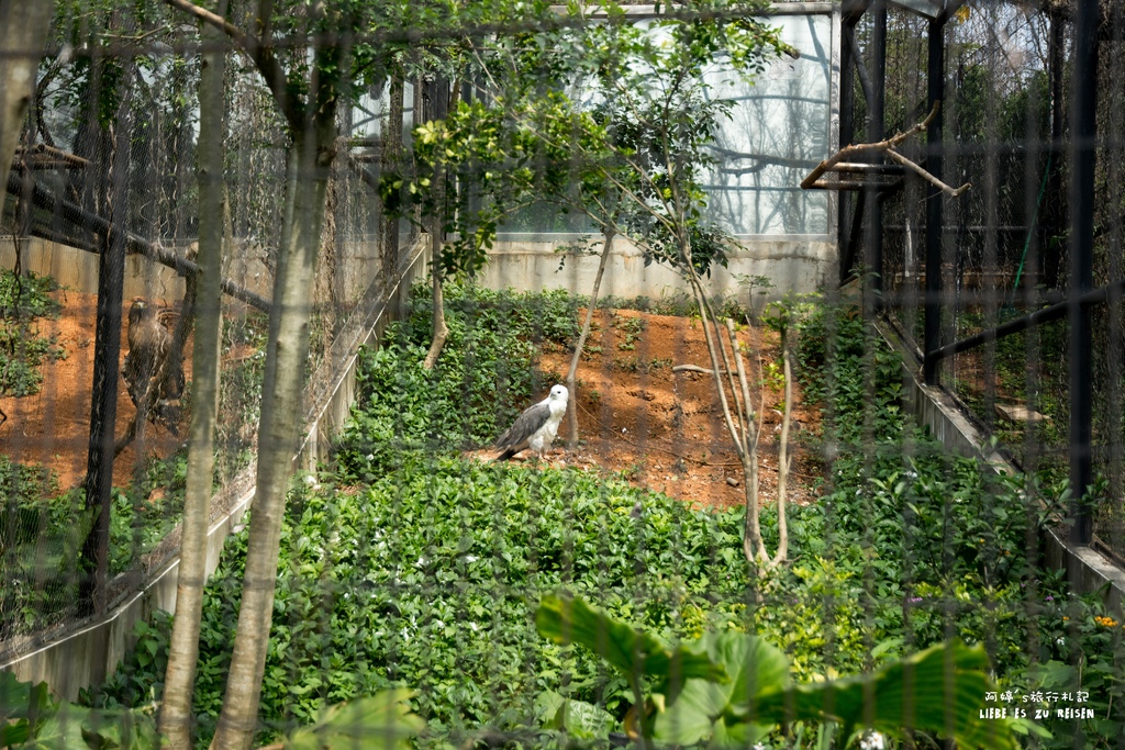 DSC_8453.jpg DSC_8453.jpg