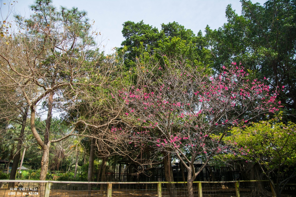 DSC_8407.jpg DSC_8407.jpg