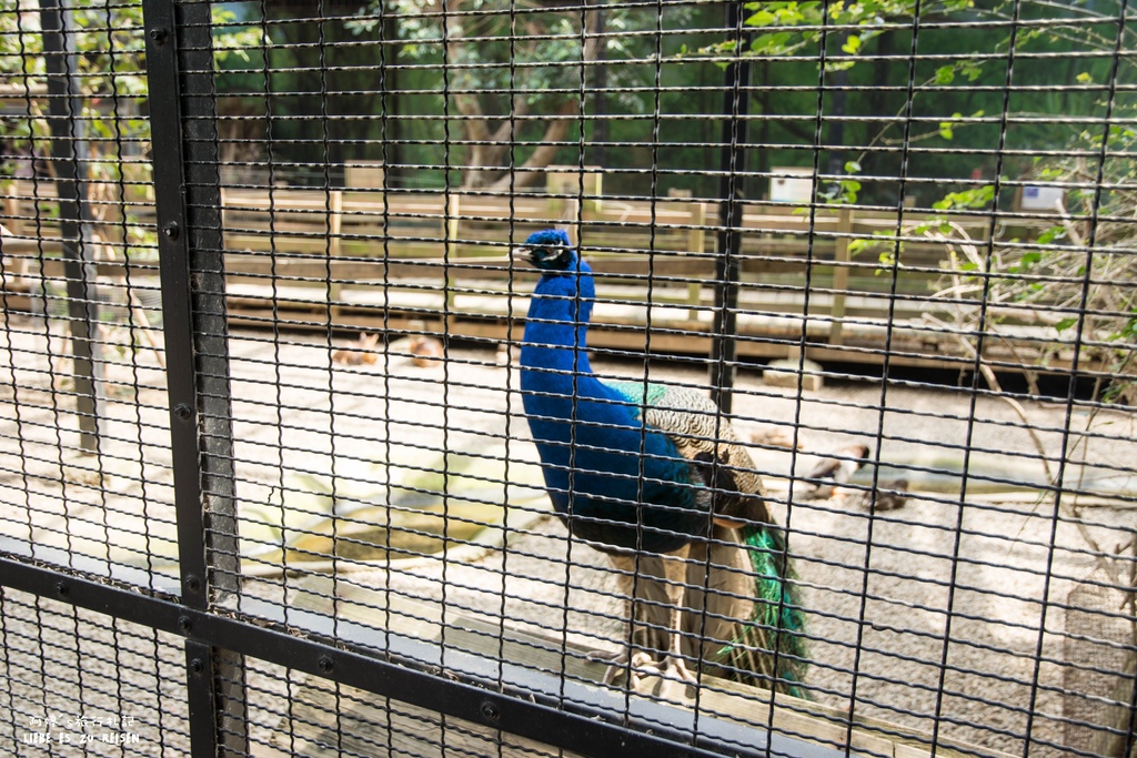 DSC_8425.jpg DSC_8425.jpg