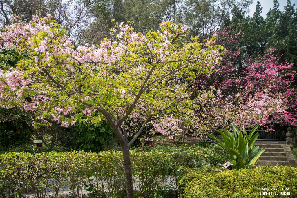 DSC_8472.jpg DSC_8472.jpg