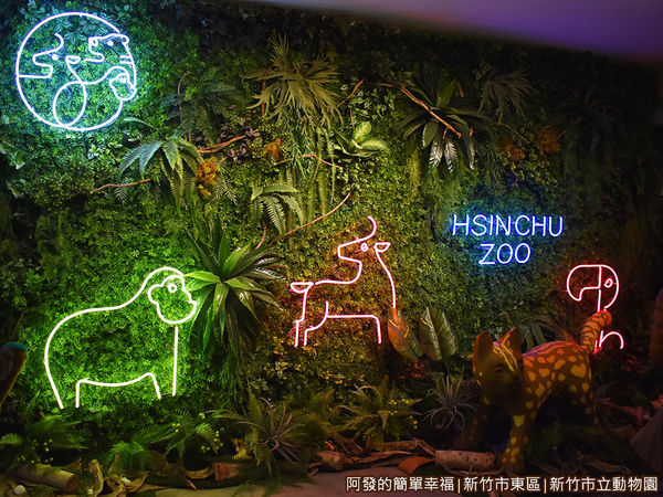 新竹市立動物園44-很美的動物園燈牆.JPG