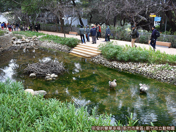 新竹市立動物園22-池畔.JPG