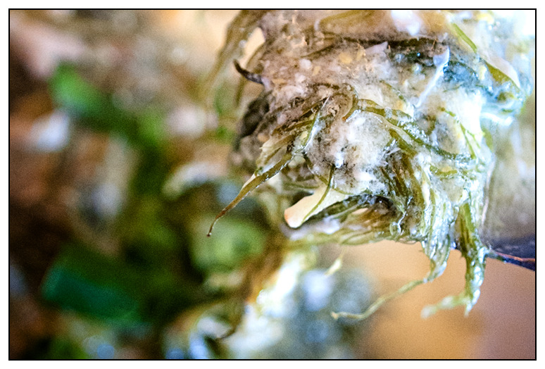 【台中】像家一樣～　吃得安心，吃得健康的梅子海鮮餐廳