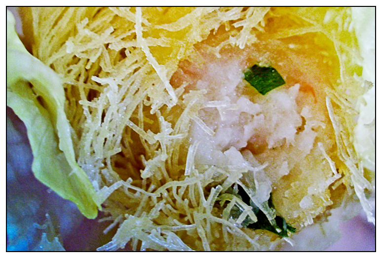 【台中】像家一樣～　吃得安心，吃得健康的梅子海鮮餐廳