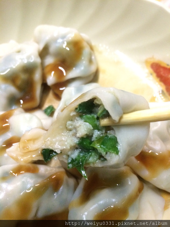 景美夜市美食、世新大學周邊人氣料理-《楊家手工水餃》沒吃別說你吃過水餃!