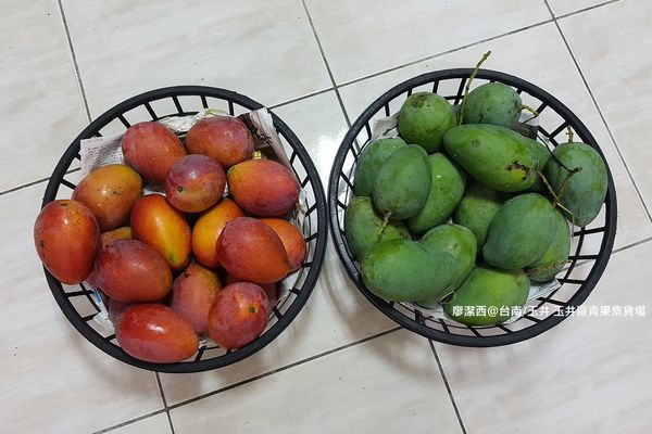 【台南/玉井】玉井區青果集貨場