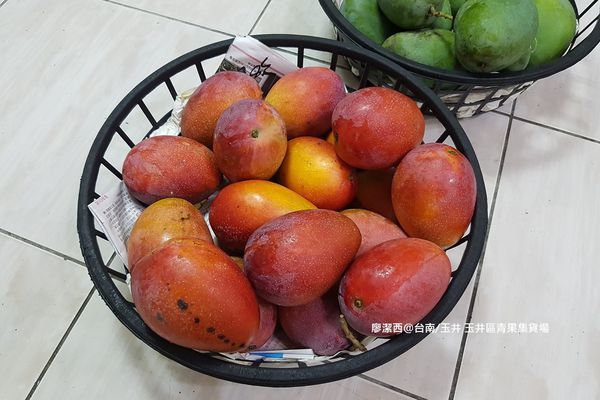 【台南/玉井】玉井區青果集貨場