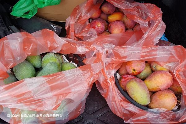 【台南/玉井】玉井區青果集貨場