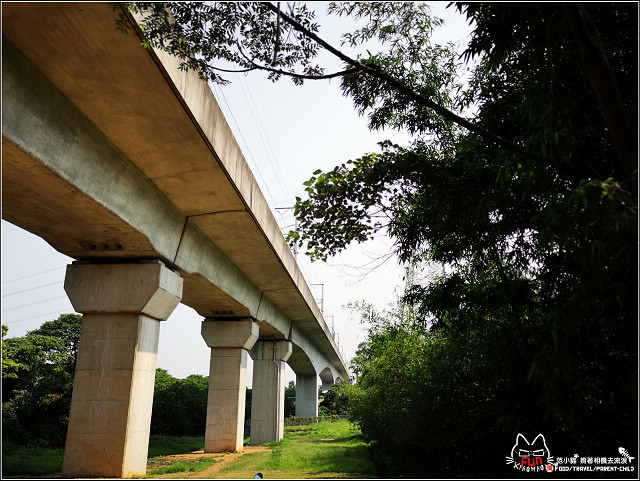 仁和步道桐花 - 041.jpg